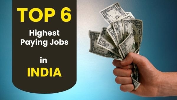 [TOP 6] Highest Paying Jobs in India