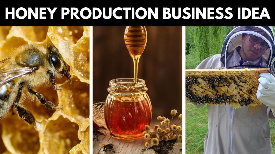 Honey Production Business Idea