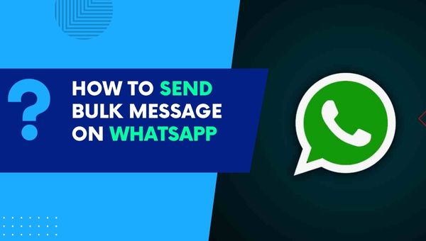 whatsapp business api send bulk message