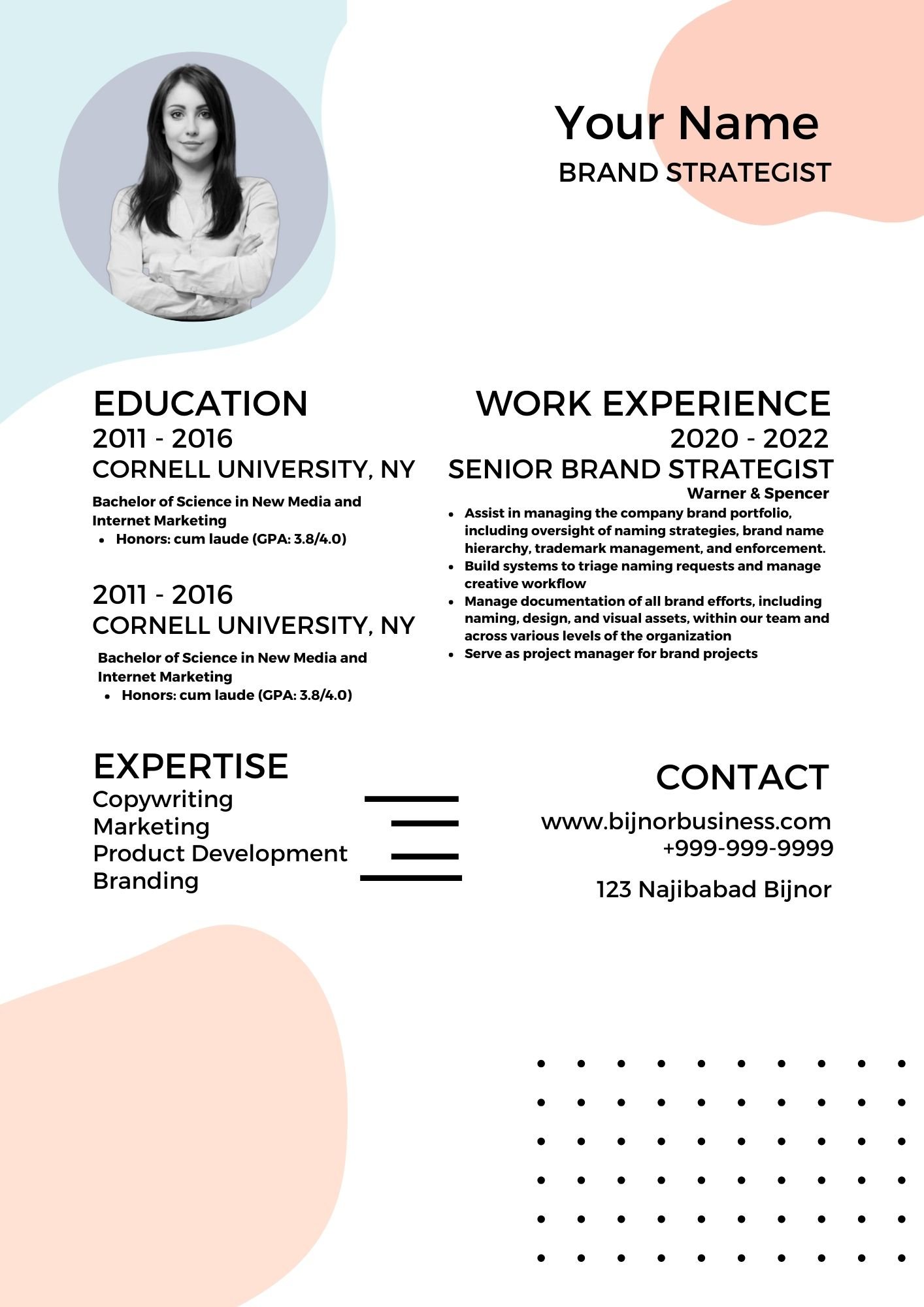 Professional Resume Format For Freshers (Word Docx)