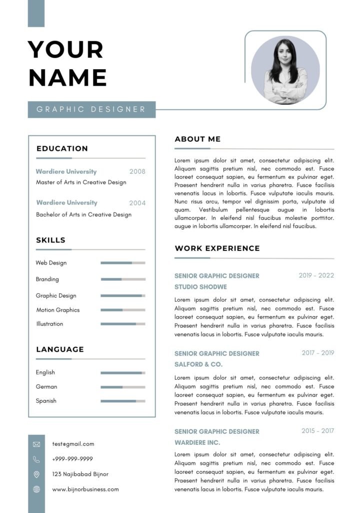 Professional Resume Format In Word