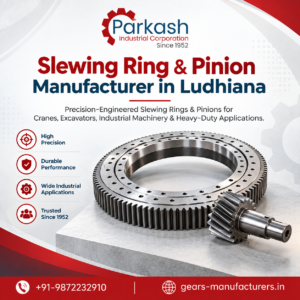 Slewing Ring and Pinion Manufacture in Ludhiana photo 2