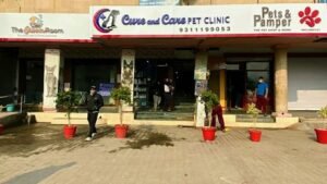 Cure and Care Pet Clinic photo 1