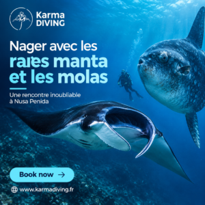 Karma Diving photo 2