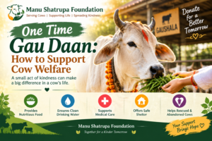 Manu Shatrupa Foundation photo 2