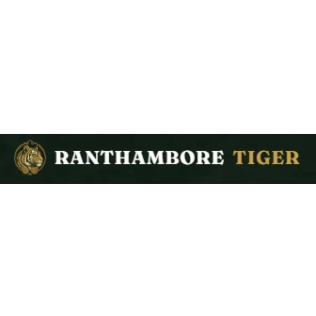 Ranthambore Tiger
