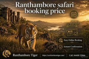 Ranthambore Tiger photo 2