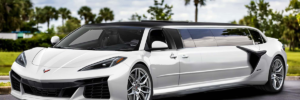 Celebrate in Style with Party Bus Rental Clinton Township MI photo 2