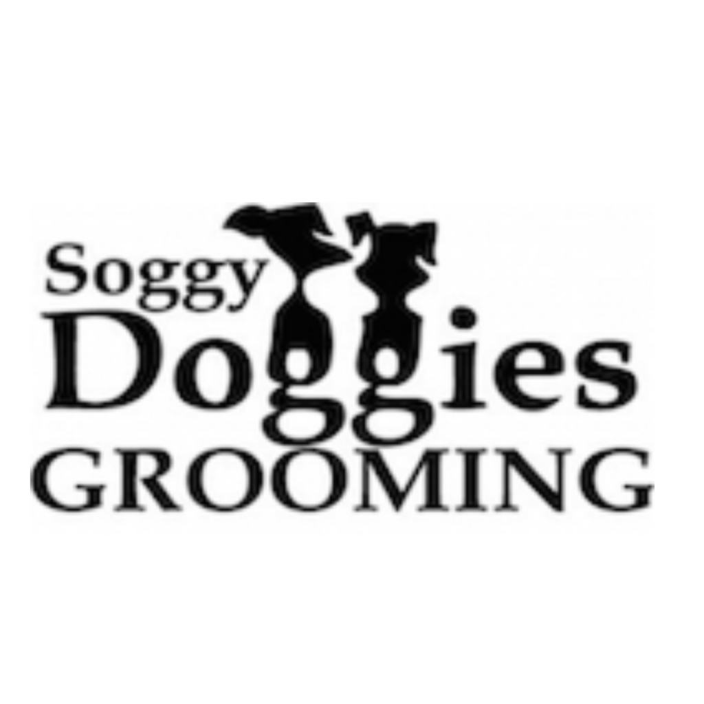 Dog Grooming Services in Colorado Springs