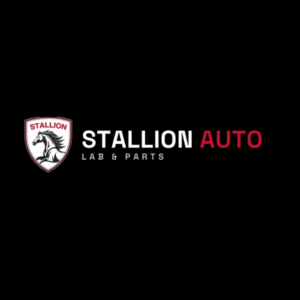 Stallion Auto Lab & Parts photo 1