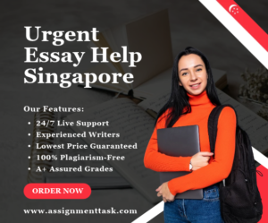 Need Help with Essay Writing Online in Singapore at Affordab