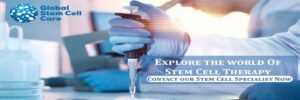 Global Stem Cell Care photo 2
