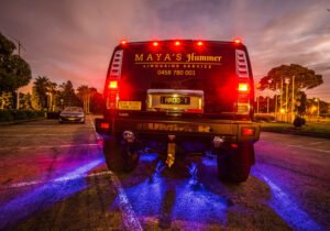 Mayas Hummer photo 3