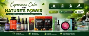 Mahanidhi Wellness photo 2