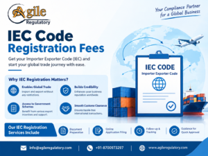 IEC Verification Online with Expert DGFT Support