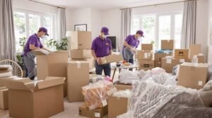 Pack N Movers photo 2