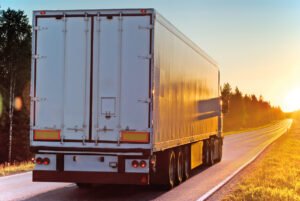 Moving Champs NZ