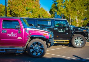 Mayas Hummer photo 2