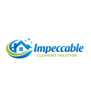Impeccable Cleaning Solution