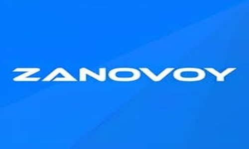 Zanovoy , ERP Consulting & Software Integration Services